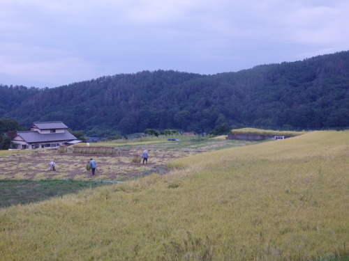 b0334084_08481781.jpg