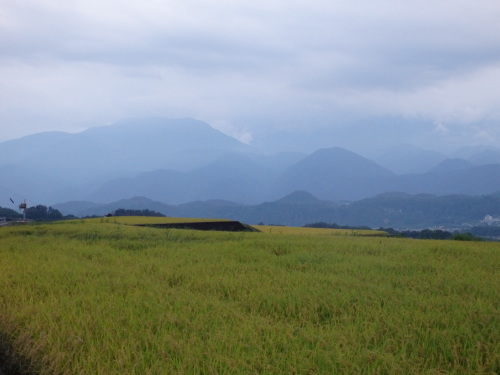 b0334084_08483568.jpg