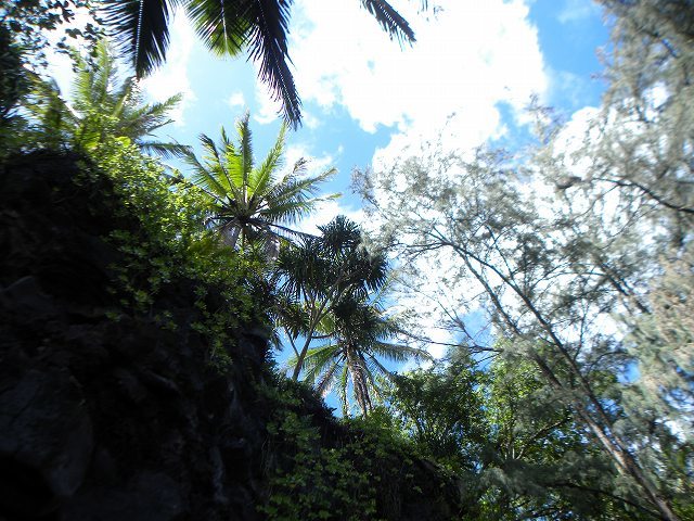 d0258487_10314742.jpg