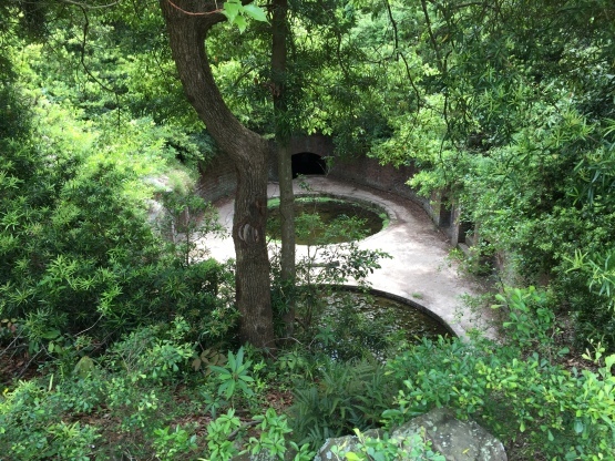 e0307890_16370922.jpg