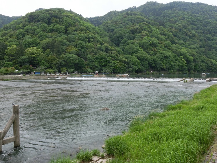 d0004301_22432563.jpg
