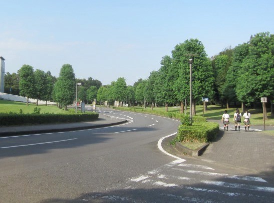 e0245404_2234025.jpg
