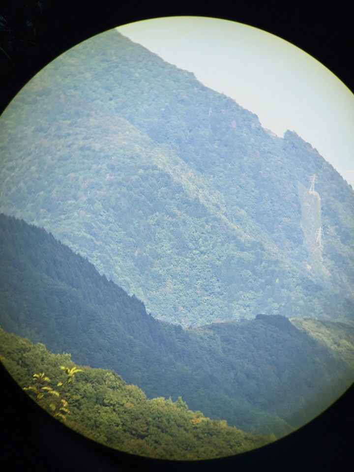 e0183106_14473372.jpg