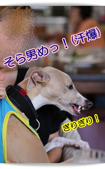 e0100007_8233325.jpg
