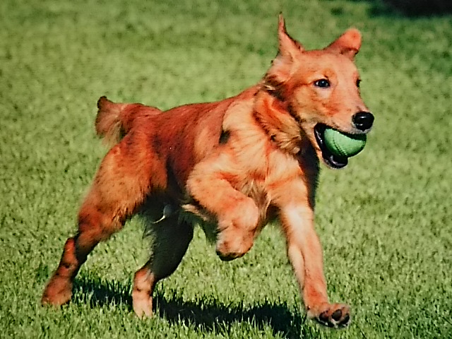 d0148408_12262130.jpg