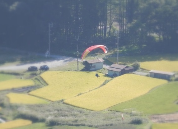 e0347508_10432458.jpg