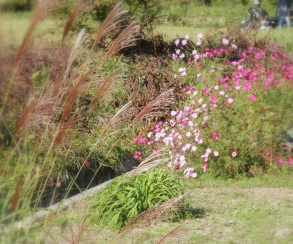e0347508_10435329.jpg