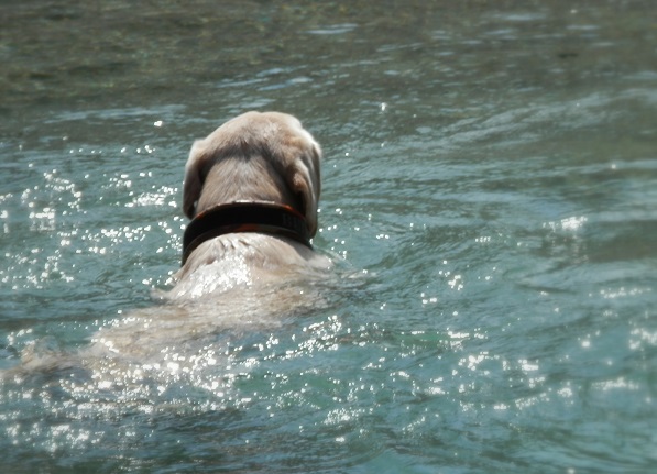 e0347508_10442124.jpg