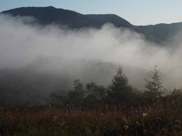 f0302208_11523151.jpg