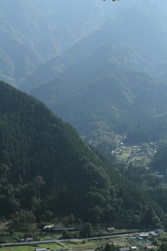 b0190710_20454540.jpg