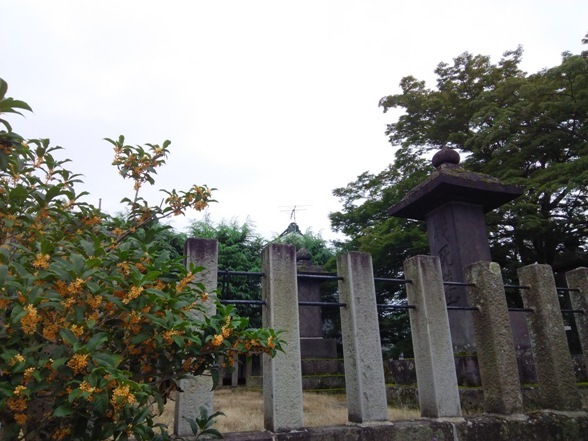 e0033713_18131251.jpg