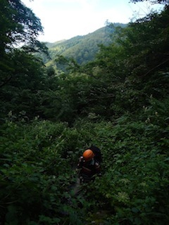 c0359615_20580943.jpg
