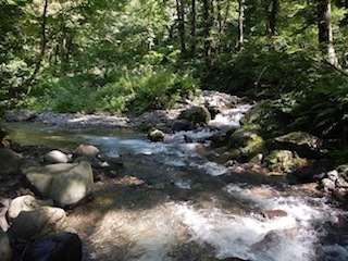 c0359615_20592020.jpg