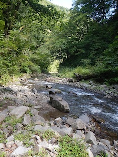 c0359615_20593241.jpg