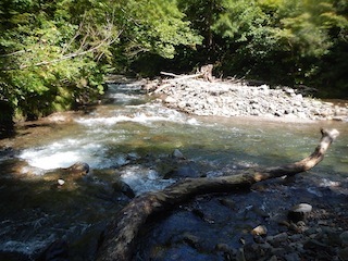 c0359615_21000261.jpg
