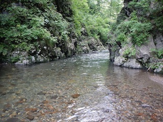 c0359615_21002550.jpg
