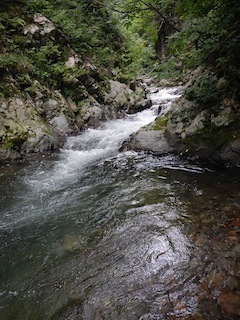 c0359615_21004137.jpg