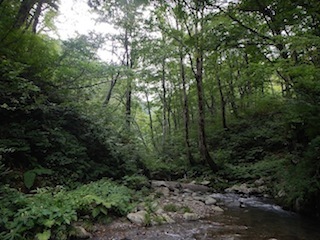 c0359615_21005819.jpg