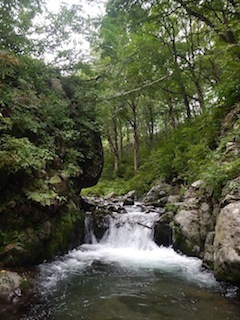 c0359615_21011002.jpg