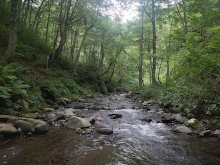 c0359615_21021385.jpg