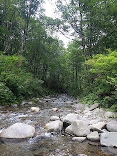 c0359615_21024745.jpg