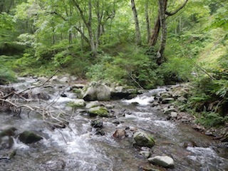 c0359615_21030275.jpg