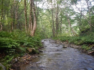 c0359615_21034765.jpg