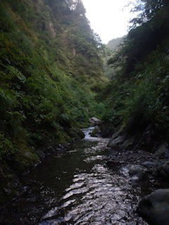 c0359615_21040039.jpg