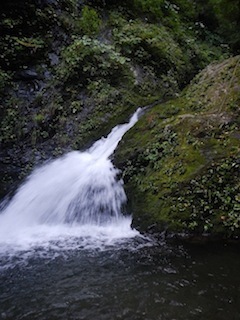 c0359615_21041987.jpg