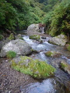 c0359615_21054251.jpg