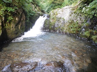 c0359615_21062732.jpg