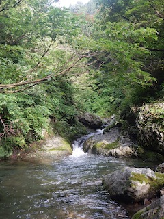c0359615_21065755.jpg