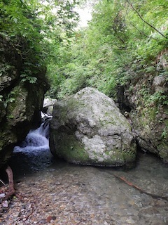 c0359615_21071368.jpg