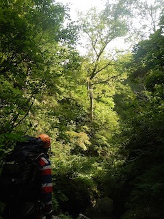c0359615_21073702.jpg