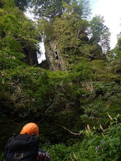 c0359615_21075615.jpg