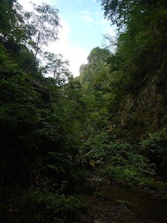 c0359615_21082938.jpg