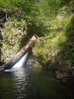c0359615_21084305.jpg