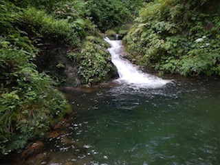 c0359615_21094248.jpg