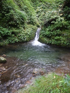 c0359615_21100145.jpg