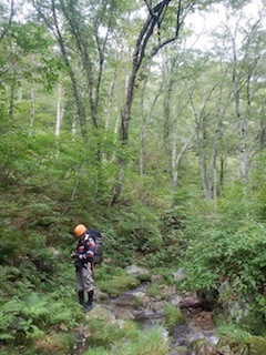 c0359615_21101444.jpg
