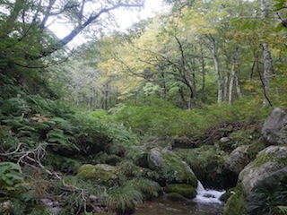 c0359615_21103368.jpg