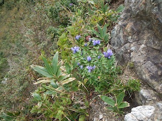 c0359615_21115258.jpg