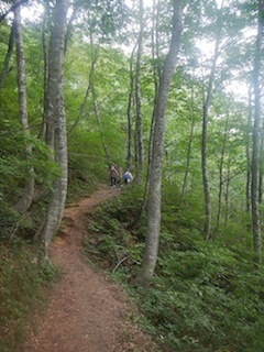 c0359615_21122723.jpg