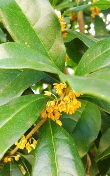 c0317717_23441541.jpg