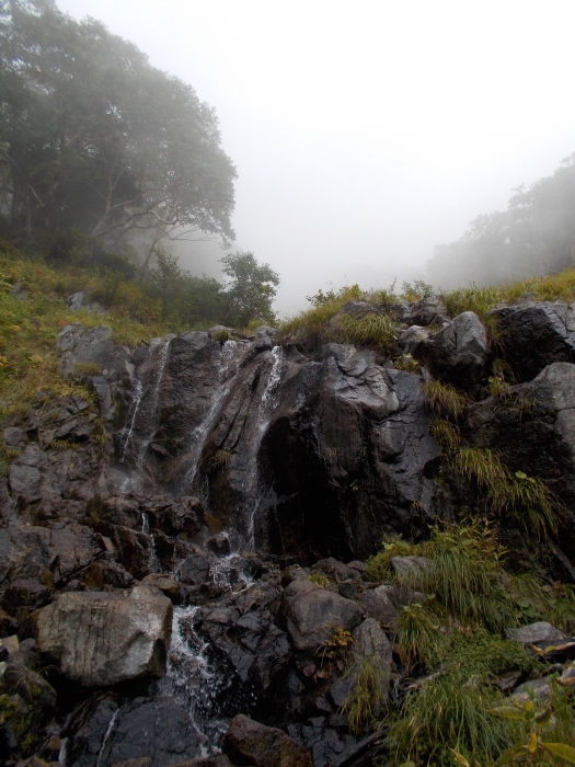 b0037220_23135774.jpg