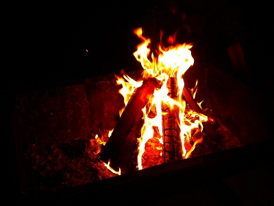 e0091220_17849.jpg