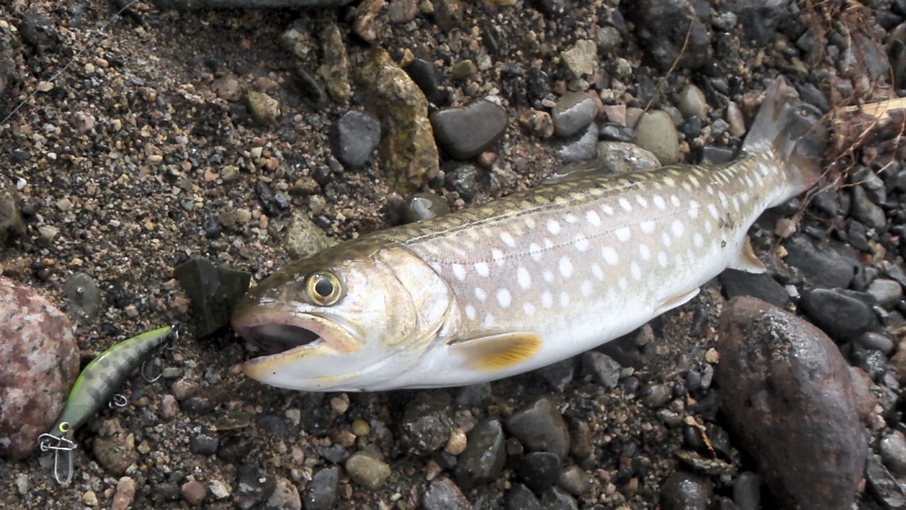 b0195927_2218851.jpg