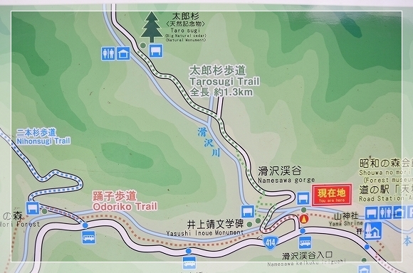d0179828_23550371.jpg