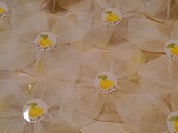 f0151628_09353368.jpg