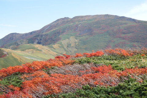 f0118332_22053170.jpg